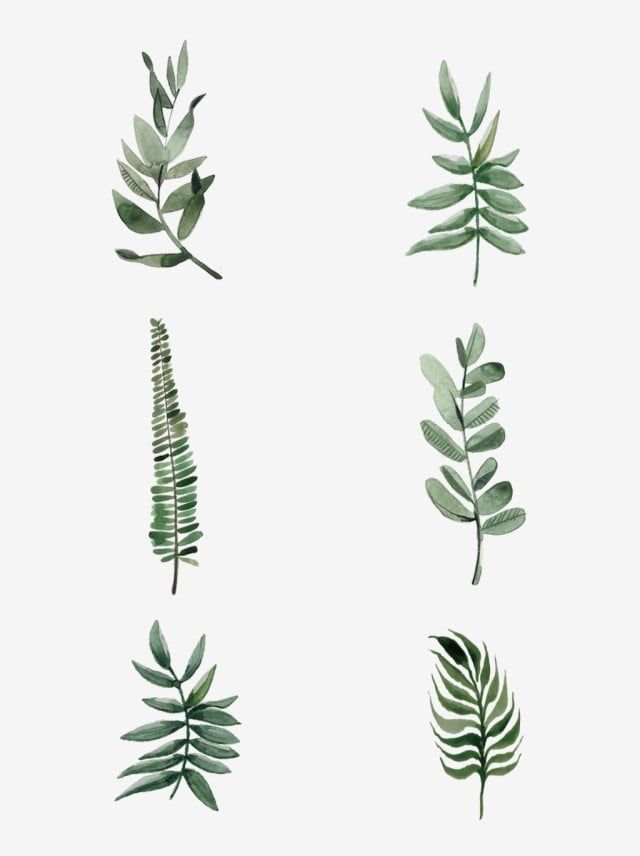 緑の植物の植木鉢イラスト素材透過、PNGフリー画像ダウンロード - Pngtree