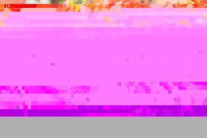 破損した写真を修復しましょう - 今すぐ