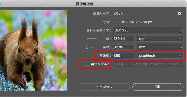 Photoshopを使って画像のサイズ変更をする方法を徹底解説 初心者向けPhotoshop Book