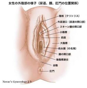 クリトリスの包皮を剥くコツと剥いた後のオナニーの方法まとめ｜Cheeek [チーク]