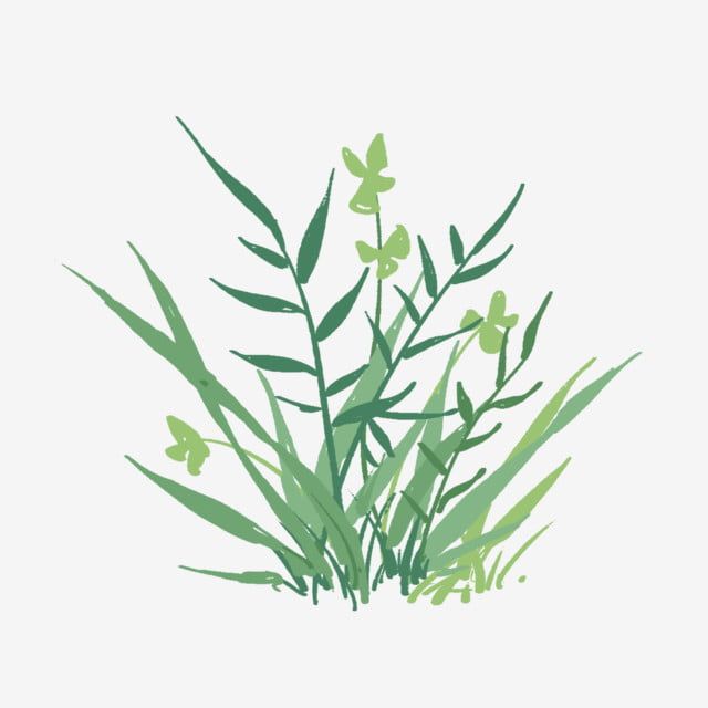 160,175 草花 High Res Illustrations - Getty Imagesハーブ, 葉, 植物