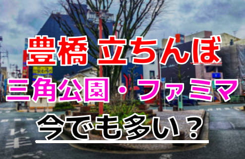 豊橋最大の素人学園系デリヘル|ギャル勉強中豊橋デリヘル学園