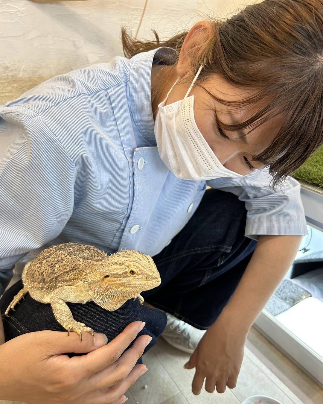 推し猫アズーとの癒しタイム ｜広島で注文住宅を建てるなら日興ホーム