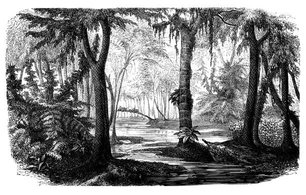 石炭ストックベクター、ロイヤリティフリー石炭イラストDepositPhotos