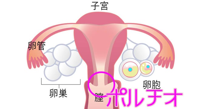 中イキのやり方・コツとは？膣イキにおすすめの体位やコツを丁寧解説【快感スタイル】