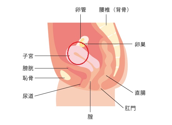 女性のオーガズム１２種類まとめ