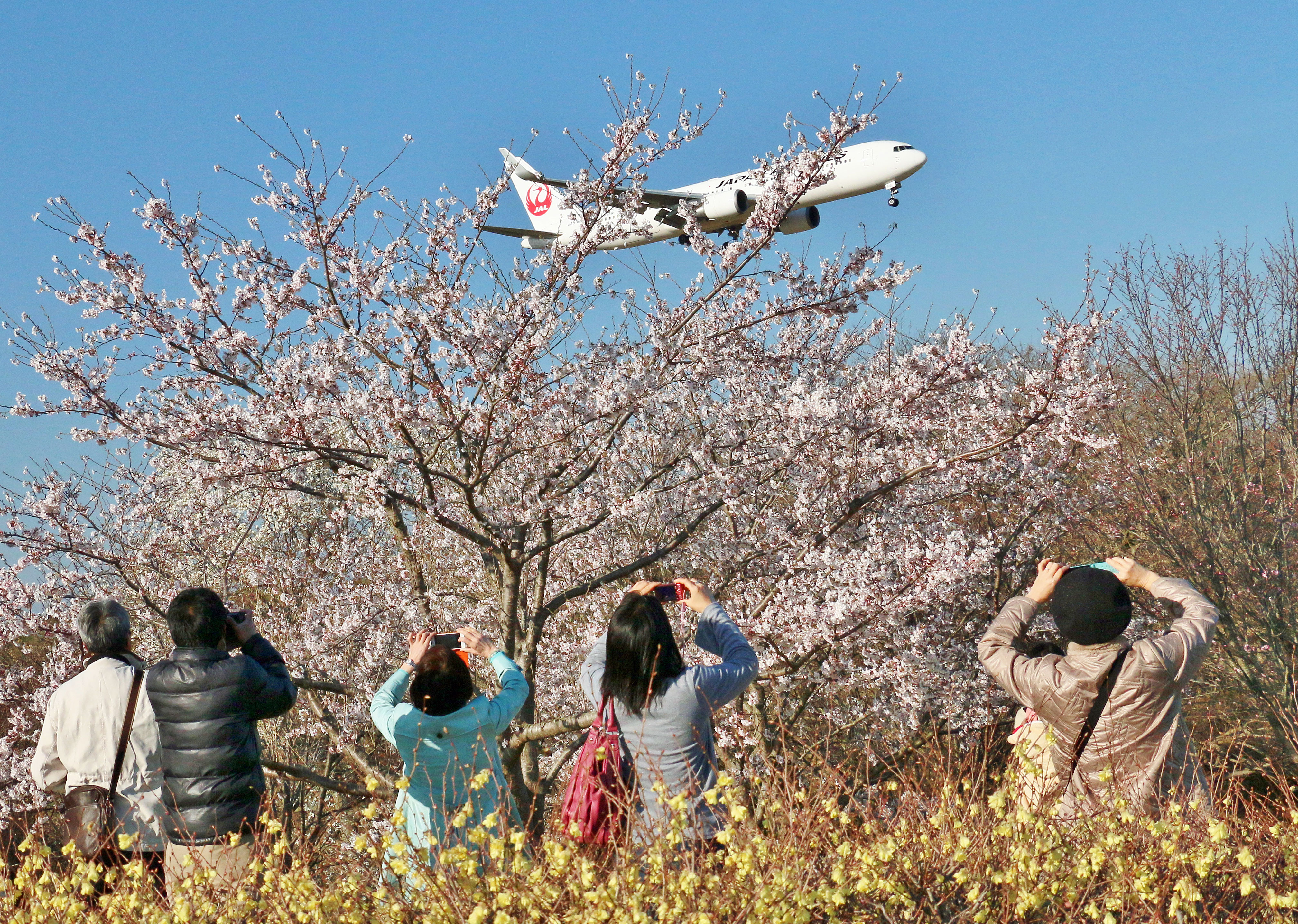 成田さくらの山公園で子供も興奮の大迫力な飛行機を！アクセスや駐車場、おすすめ時間帯など調査 | もんたいむず