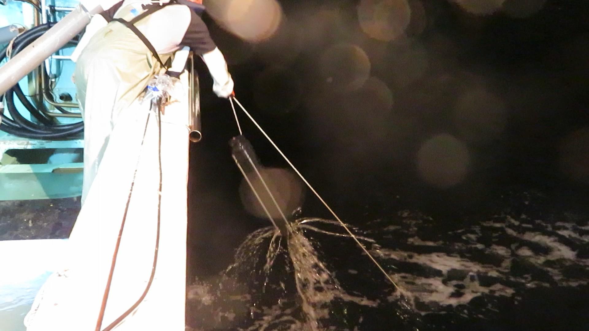 穴子筒 10本セット！数量9で90本 アナゴ筒 あなご筒 漁具 アナゴ