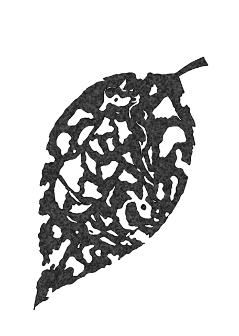 折坂悠太「心理」