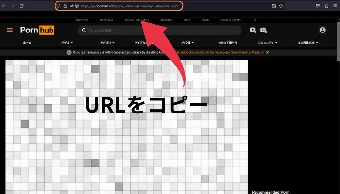 海外アダルトサイトで自分好みの動画を検索できる「ちょっとしたコツ」とは？ « 日刊SPA!