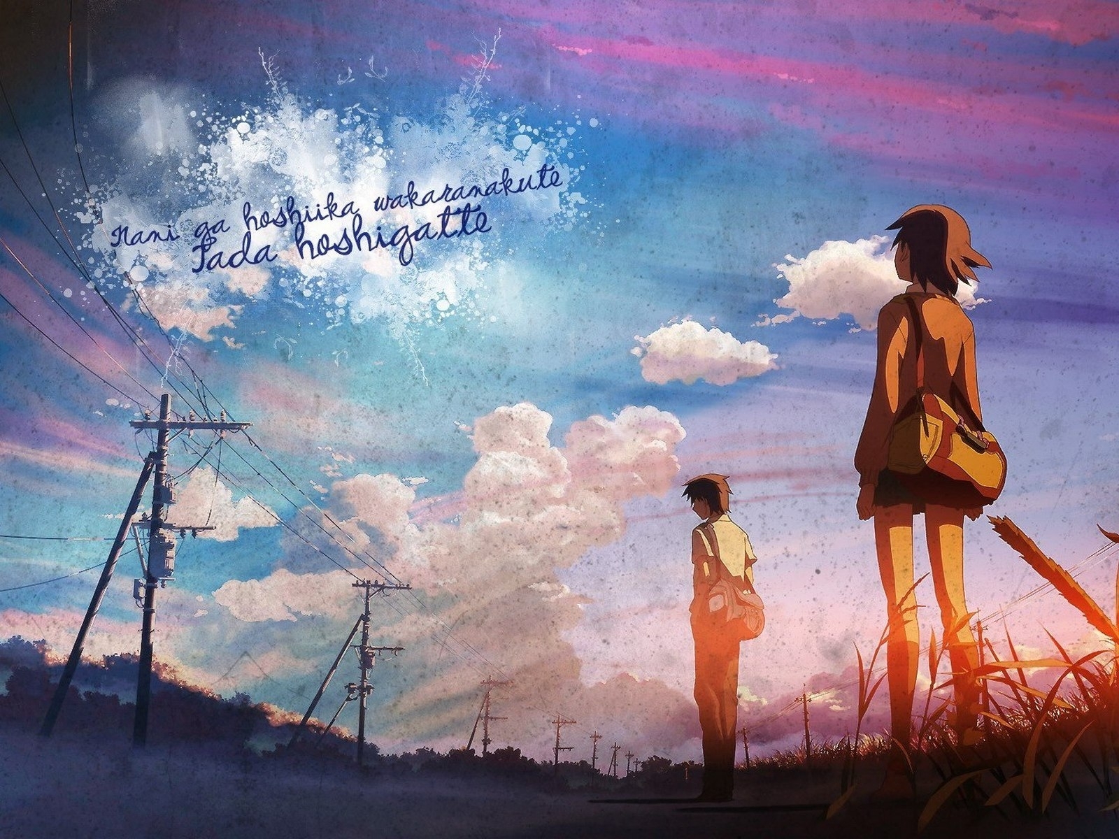 アオのハコ 大貴壁紙TikTok