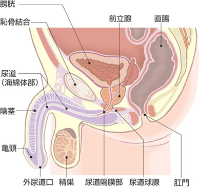 精子 出る 瞬間