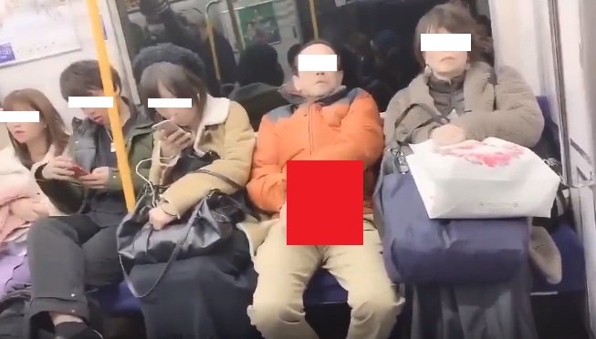 特急電車の中で露出オナニーする美女！人が来たらどうすんだｗ | オナニー動画こすりずむ