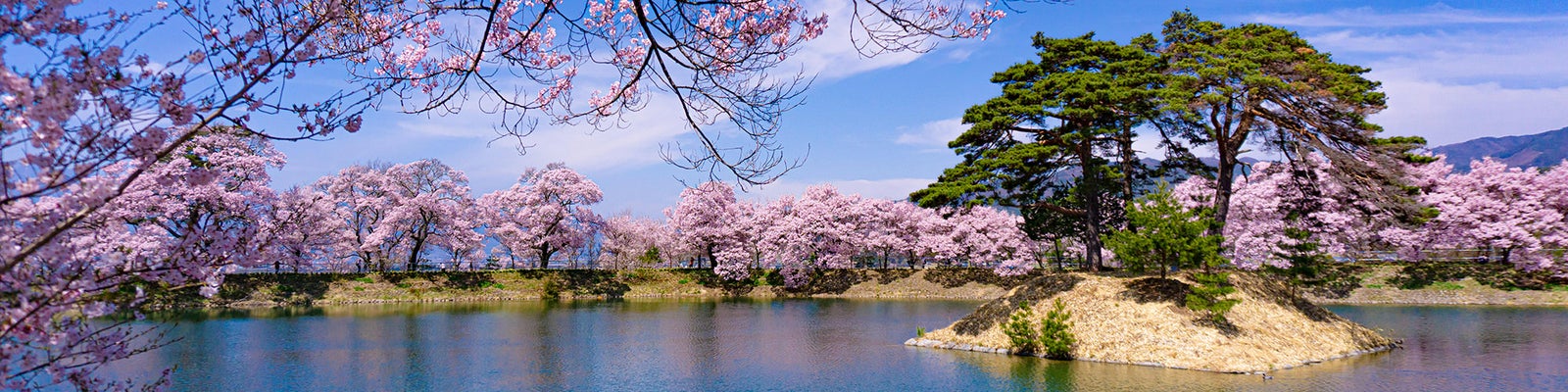 フリー素材 ぱくたそ - すぐに使える無料の写真素材・AI画像素材