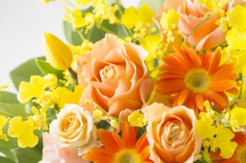 イエベ春・スプリングタイプ の特徴。似合う髪色・メイク～似合う色・服装までファッション全てを解説ニッセン