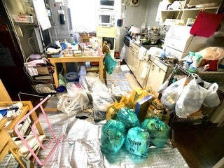 ゴミ捨て場のイラスト素材・ベクター Image 17114870