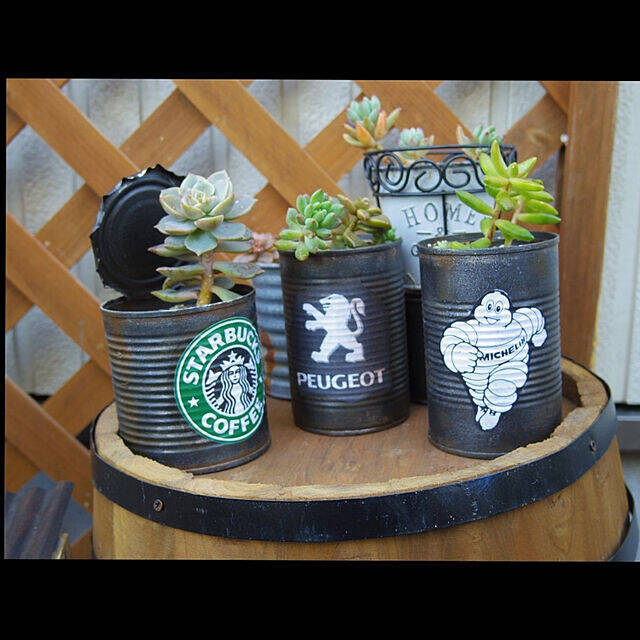 リメイク缶 リメ缶 リメイク鉢 2個 100均素材✖️空き缶で多肉植物