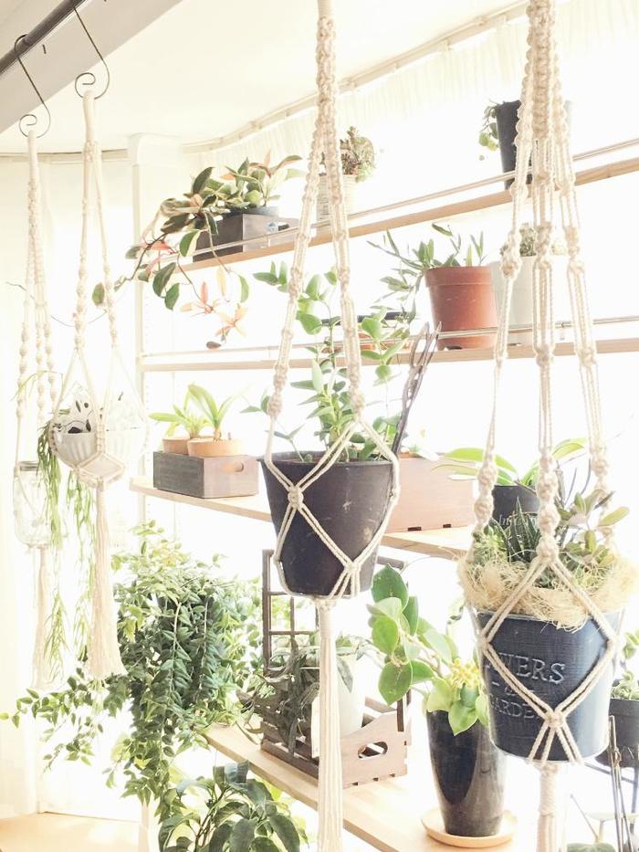 マクラメプラントハンガ