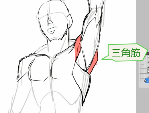 男性の筋肉の腕をスケッチします。手描きのイラスト。のイラスト素材・ベクター Image 64258509