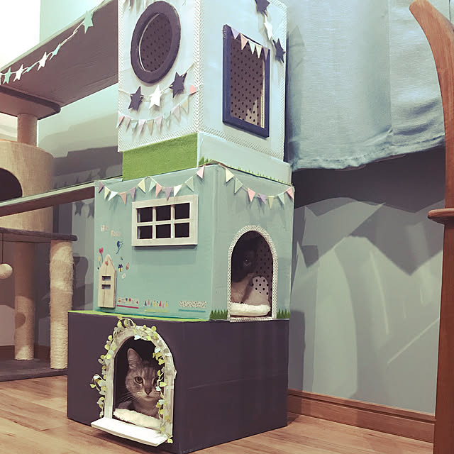 FinderViews : 脱力！段ボール猫タワ