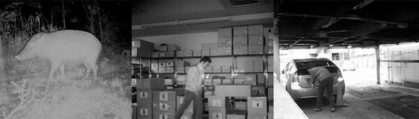 赤外線透過ガラス日本電気硝子 NEG