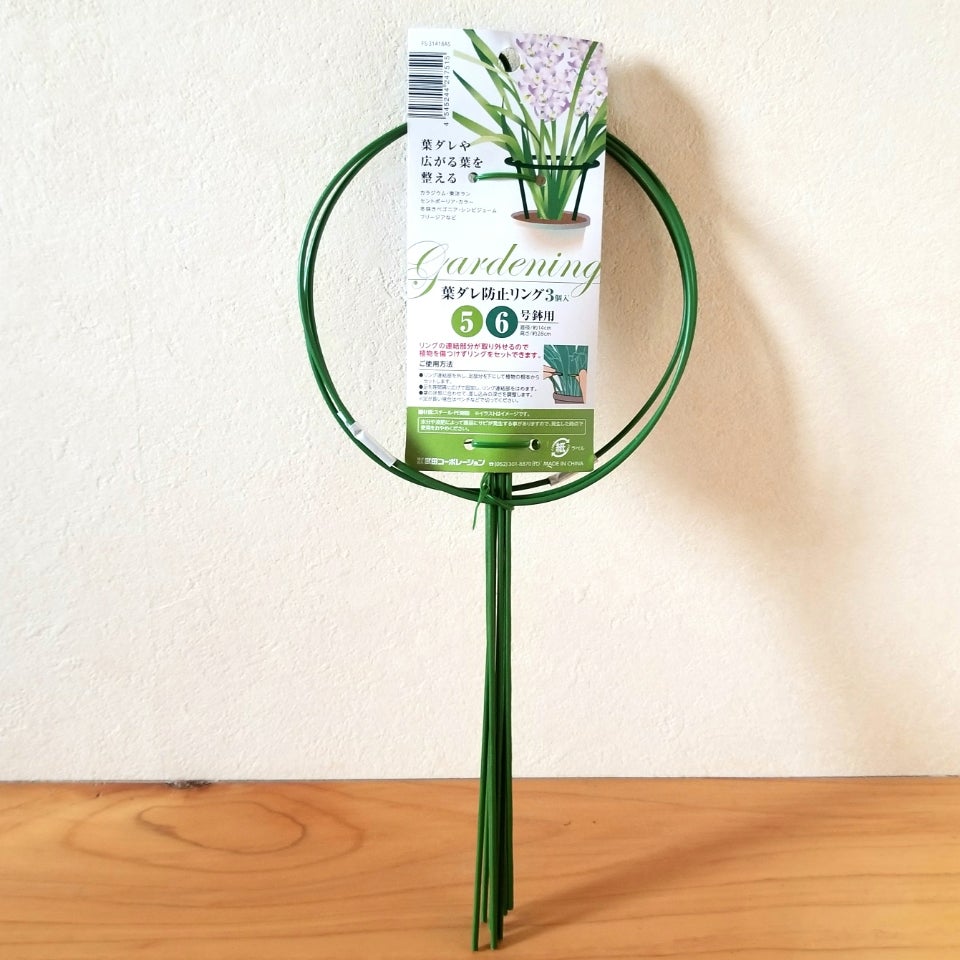 観葉植物の支柱 大きく育てたい場合の支柱 5種類