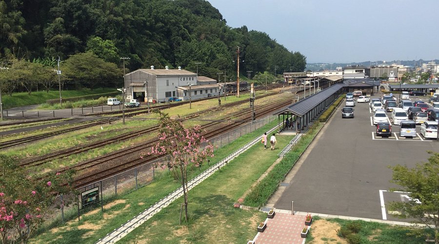 免許合宿ライブ | 人吉自動車学校の画像・写真一覧