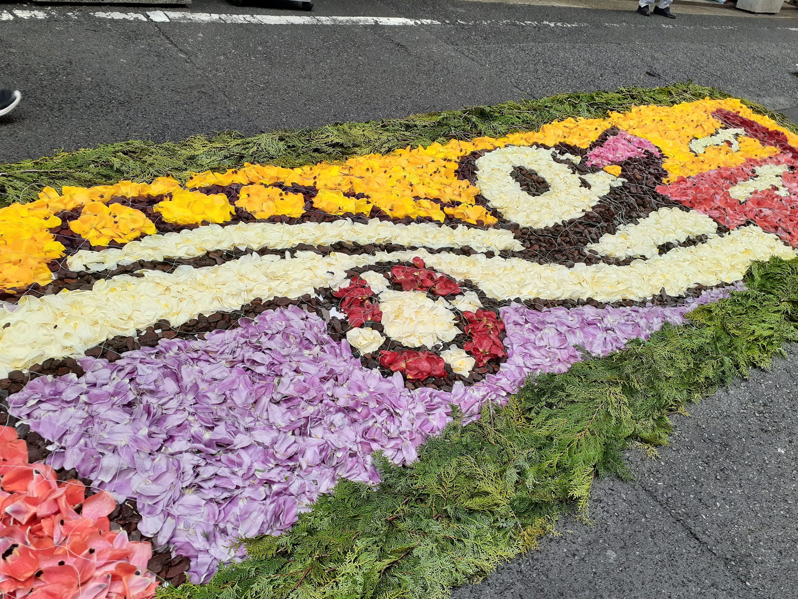 六甲アイランド チューリップ花壇 - 神戸 まちガイド