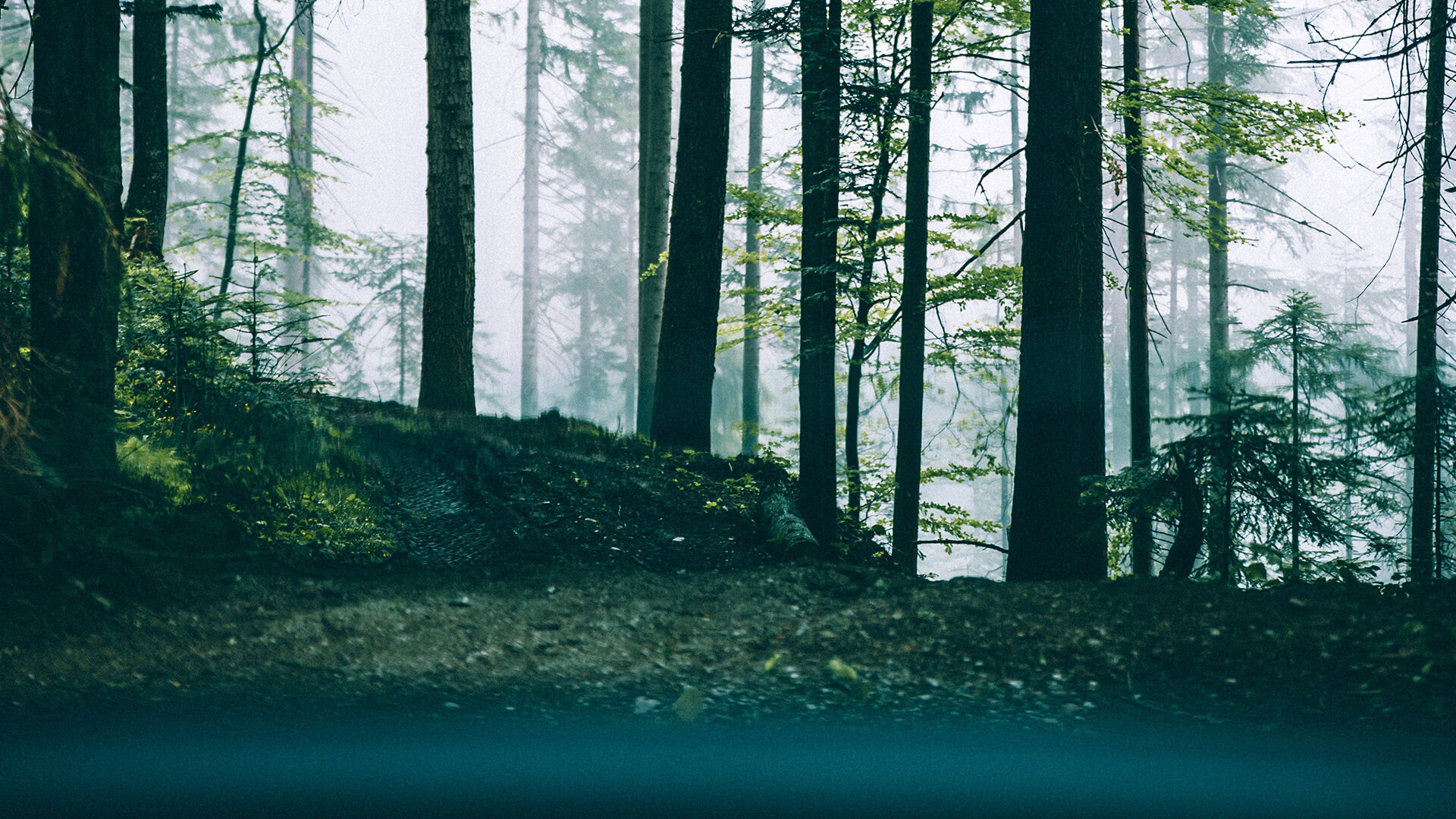 アフィリエイトやブログに役立つイラストサイト5選！パソコン&ビジネス入門・初心者向け