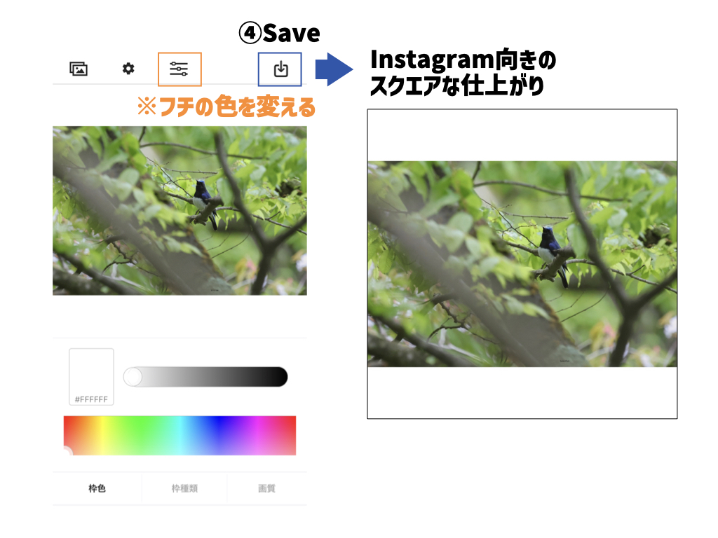 写真に枠を追加。画像にボーダーを無料で追加Canva