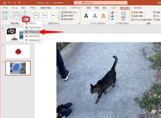 斜めもOK！パワーポイントで画像を自由自在にトリミングする│パワポ大学