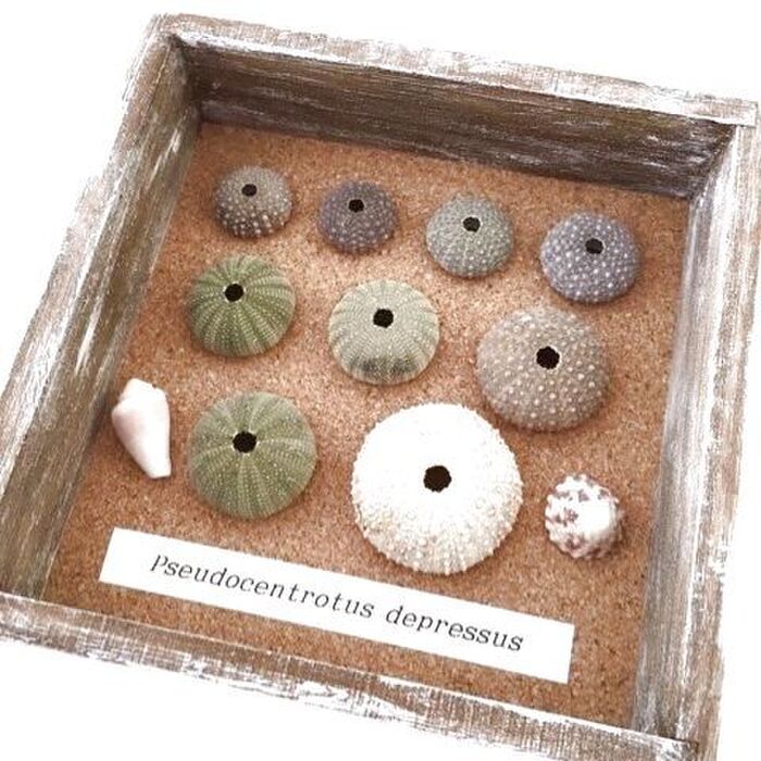 ギフト箱 フタ・身式 の展開図 – 紙箱・化粧箱.NETオリジナルの箱・パッケージの印刷通販 丸信