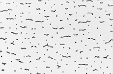 高層ビルの上についている「赤いランプ」は何かテンミニッツ・アカデミ