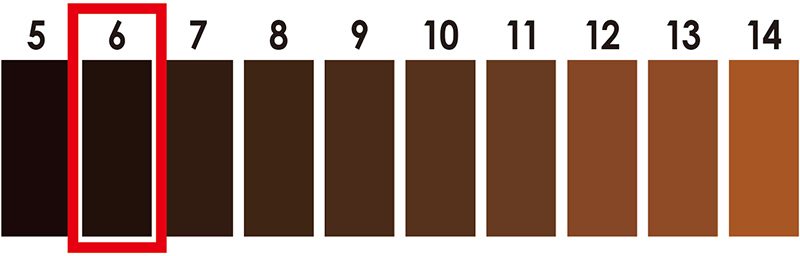 カラーチャートと髪の毛の明るさの本当bex journal