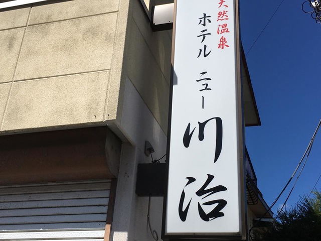 珍方出版局】伊東園ホテル見聞録 VOL.2 栃木県・鬼怒川／川治／湯西川温泉編