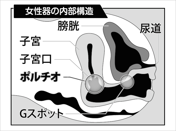 枕を腰の下に入れた正常位で女性が中イキする理由を解説｜裏垢男子で年収2000万