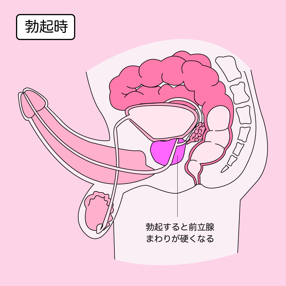 アナルを開発してメスイキしよう！ メスイキを可能にするアナル開発の方法 | メスイキしようぜ