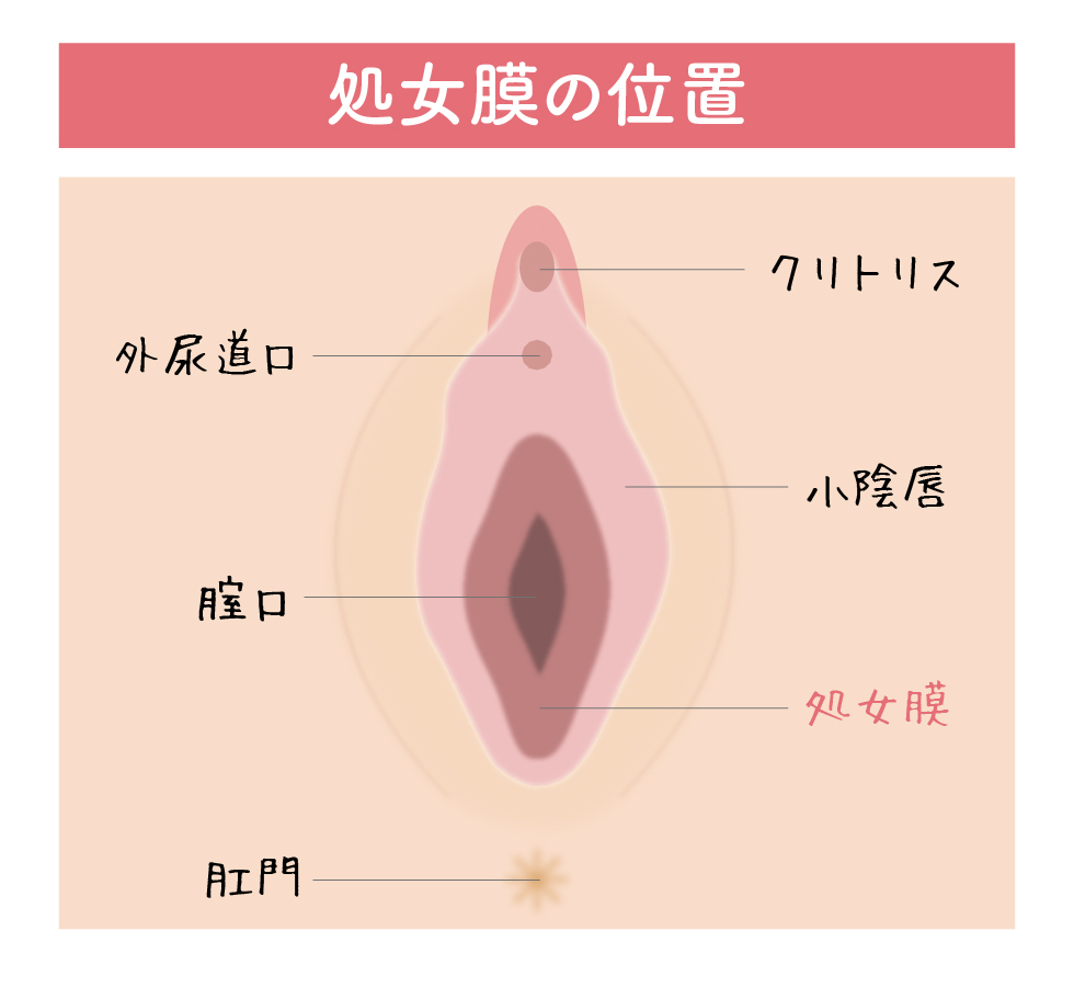 後背位はこうやって入れる！挿入のコツを知って今夜は後ろから責めよう。 | VOLSTANISH