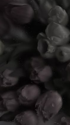 4ページ - おしゃれなインスタストーリー背景テンプレートでおしゃれなデザインを無料で作成！Canva