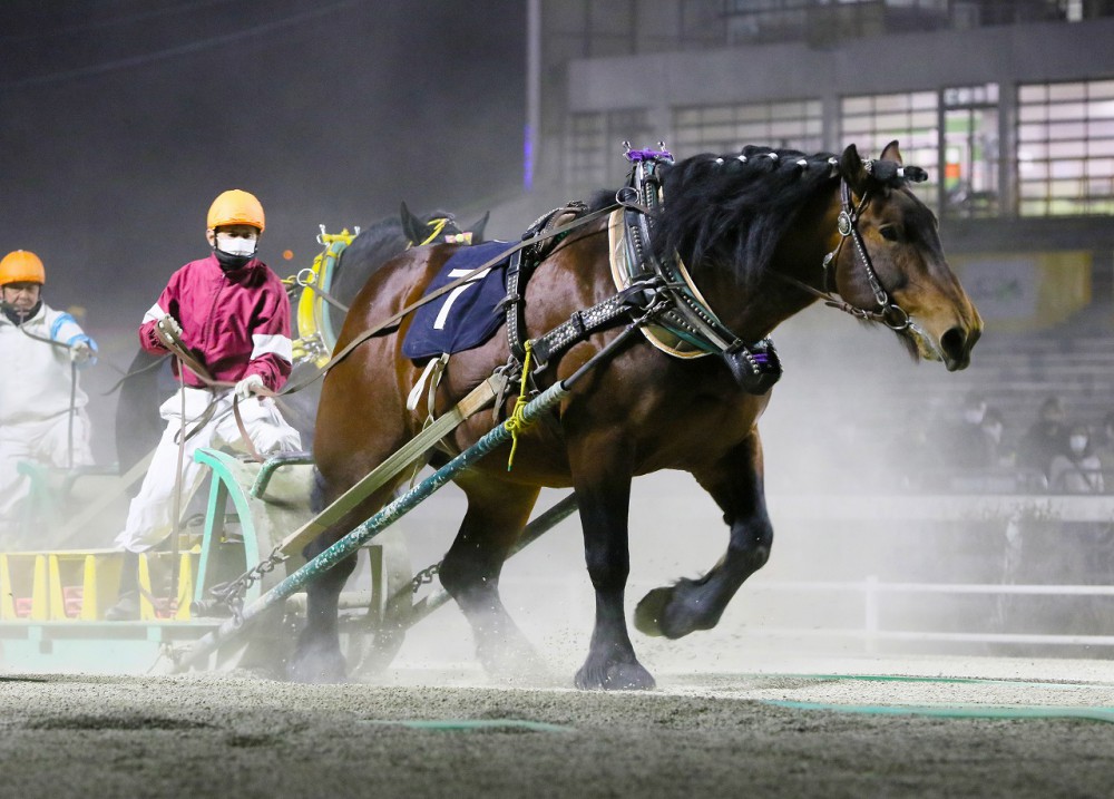 宴会場 ポプラ・ハマナスの間｜ご宴会・会議｜【公式】森のスパリゾート 北海道ホテル