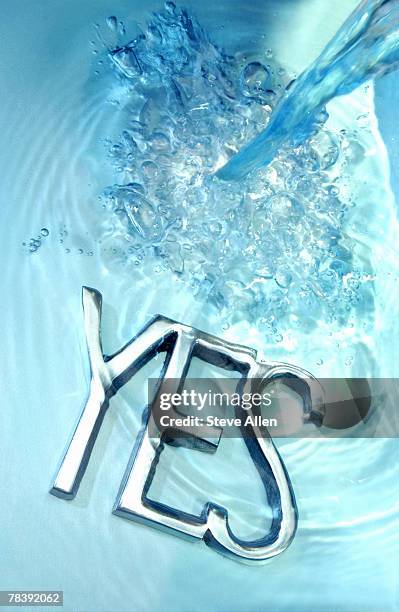 デザイン書ジャンルで人気を誇るingectar-eが制作した レタリングフォント素材集を4月20日 水 に2冊同時発売 - 株式会社インプレス