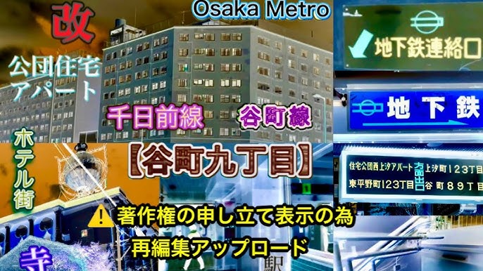 攻略】『ホグワーツ・レガシー』組分け帽は絶対？ 組み（寮）の違いやおすすめまとめ【ハリー・ポッター】 - 電撃オンライン