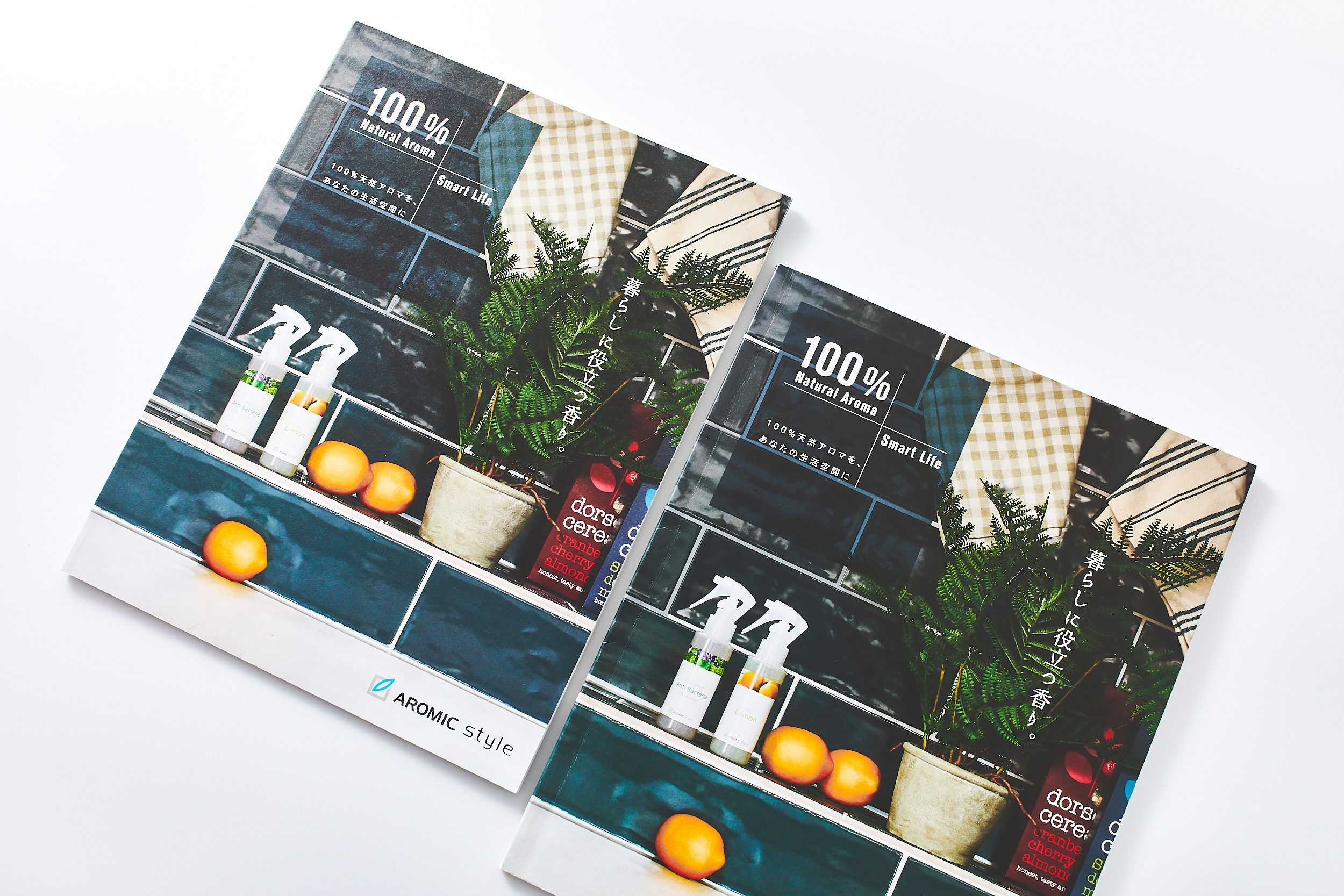 大型本◇案内状 グラフィックデザイン写真集 本 パンフレット チラシ 業種別 参考に