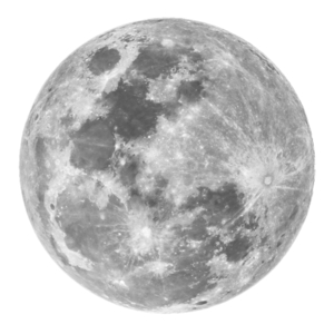 丸い物は縁起が良い？ま～るいスイーツまとめ和菓子編 - ippin イッピン