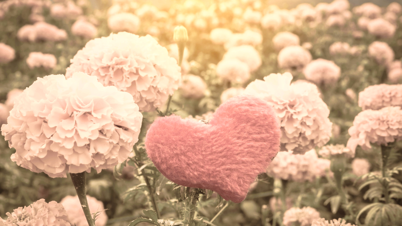 絵文字の後ろにつけると可愛い記号をご紹介します💭 「🤍」は好きな絵文字に変えて下さい😊💞 🤍✡︎⋆꙳ 🤍◝✩ 🤍⸝⋆ 🤍⁼³₌₃‎🤍꙳⟡ 🤍𖤐´- 🤍ꕀ️꙳ 🤍ˢᵏʸ ‎🤍˖ ࣪⊹ 🤍 ༘꙳⋆ 🤍⸝⸝⸝ 🤍♩.• ‎🤍ˎˊ˗ 🤍⸝⸝꙳ 🤍𖤐·̩͙🤍⟡.· ⚠︎コピペする方法！ safariやgoogle