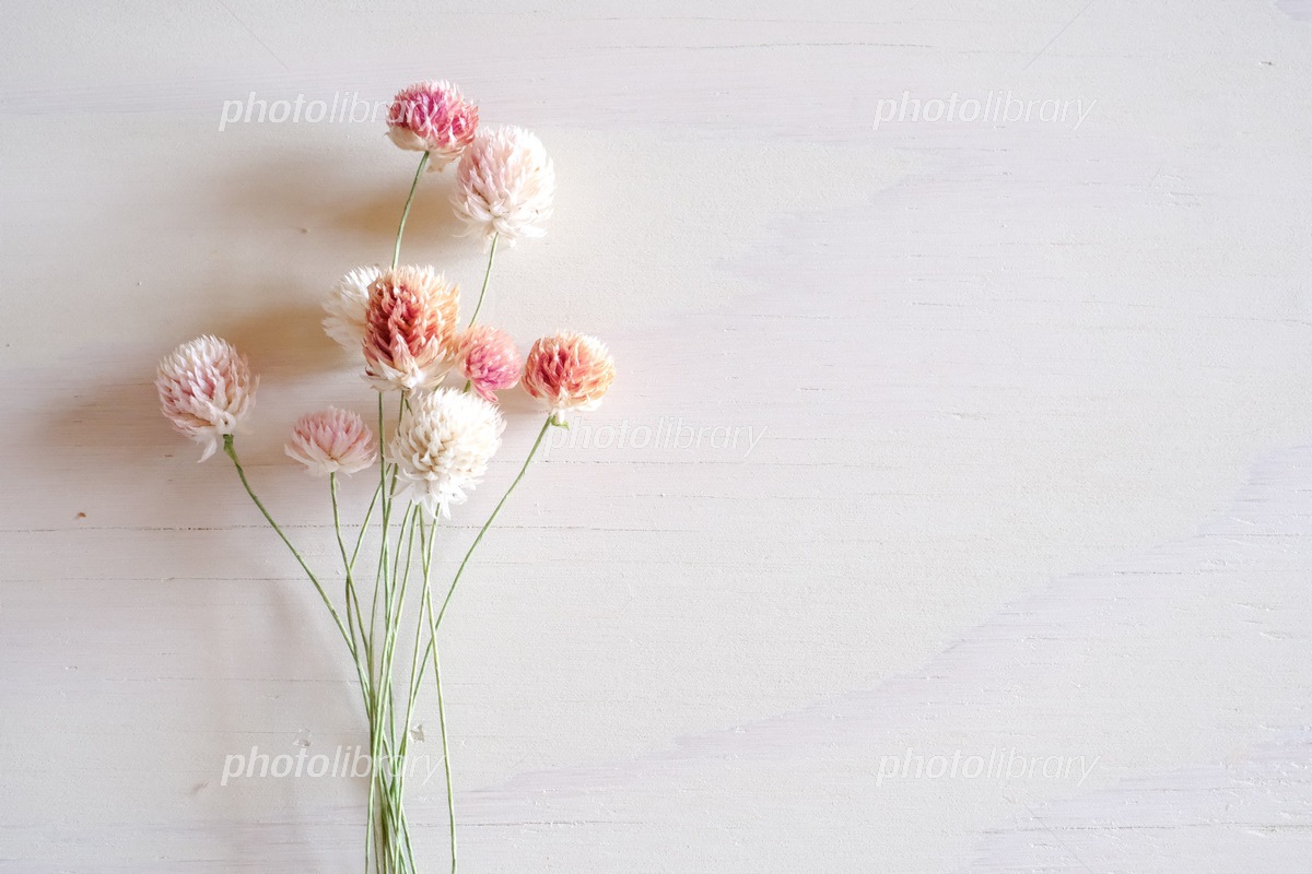 白背景」の背景画像を無料ダウンロード 1 フリー背景画像 BEIZ images