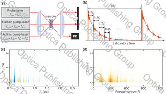 Quantitative analysis of Raman spectral