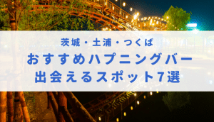 2023年版】栃木県民にオススメのハプニングバーを紹介 | もぐにんのハプバーブログ