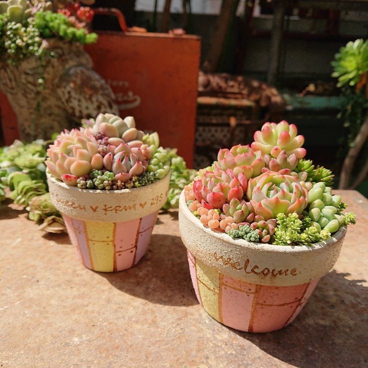 16 件の「リメイク素焼き鉢デザイン」のアイデアを今すぐ保存素焼き鉢、鉢、植木鉢 など