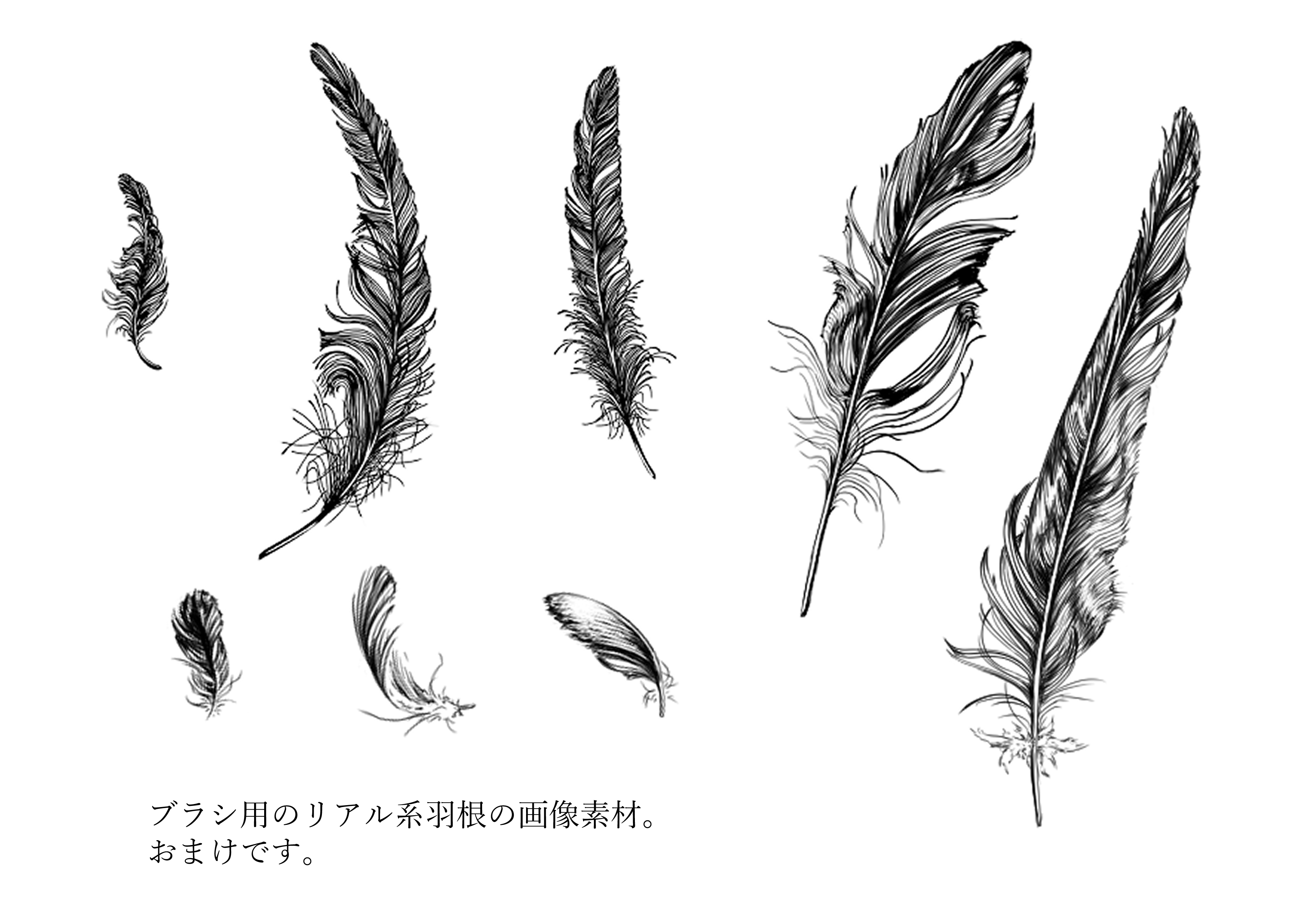 天使の羽根 - CLIP STUDIO ASSETS